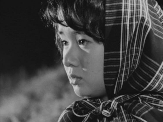 傳花の薫り 岡田脩克作品集/大覚寺出版部/岡田脩克（１９３９-）（単行本） 田名網敬一 記憶の冒険』が国立新美術館で開催。作家初の大規模