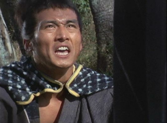 木枯し紋次郎に出ていた人たち